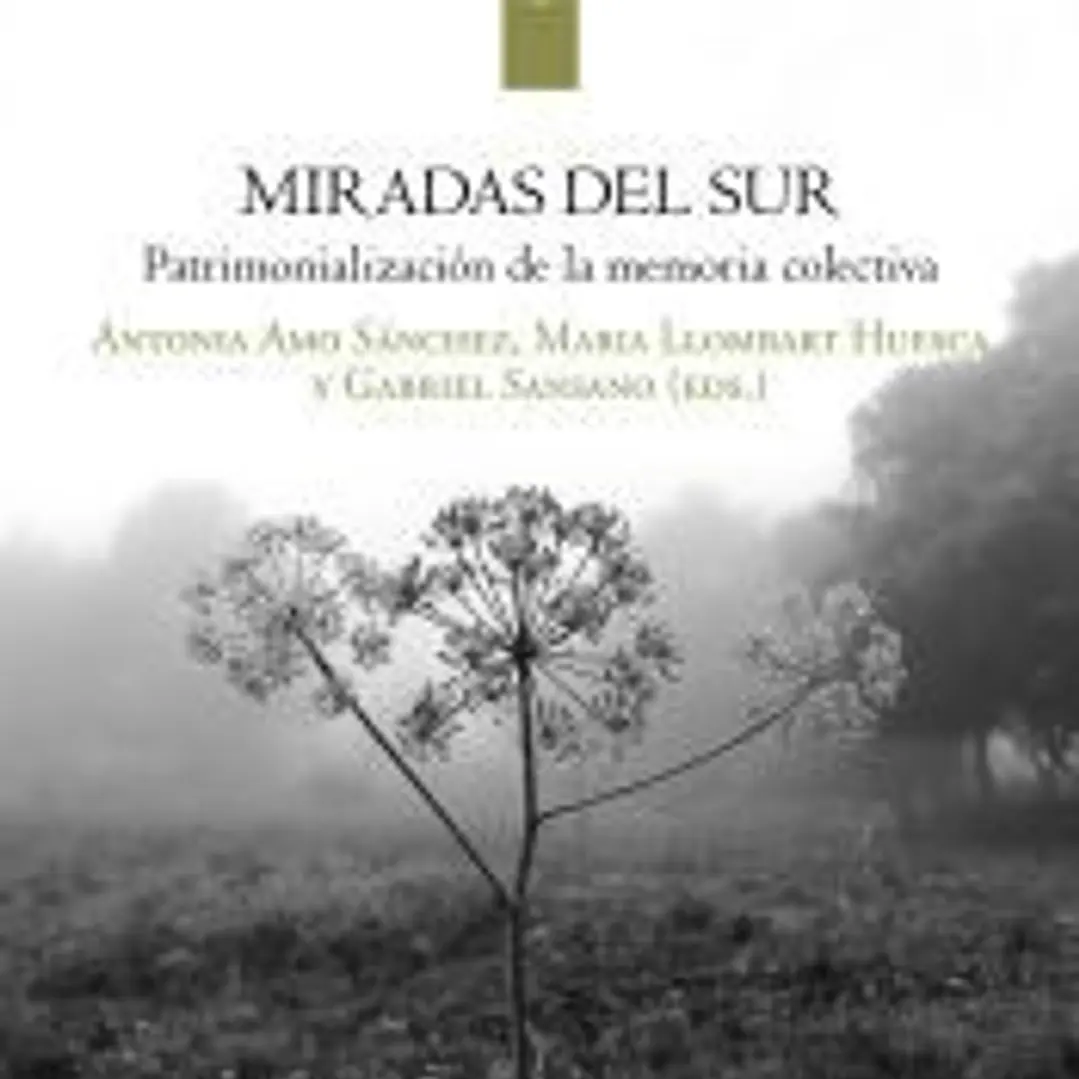 MIRADAS DEL SUR 1