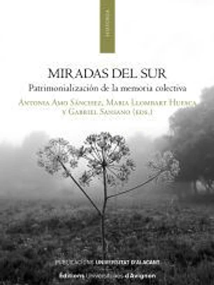 MIRADAS DEL SUR