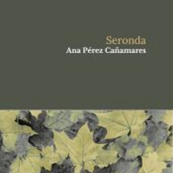 SERONDA 1
