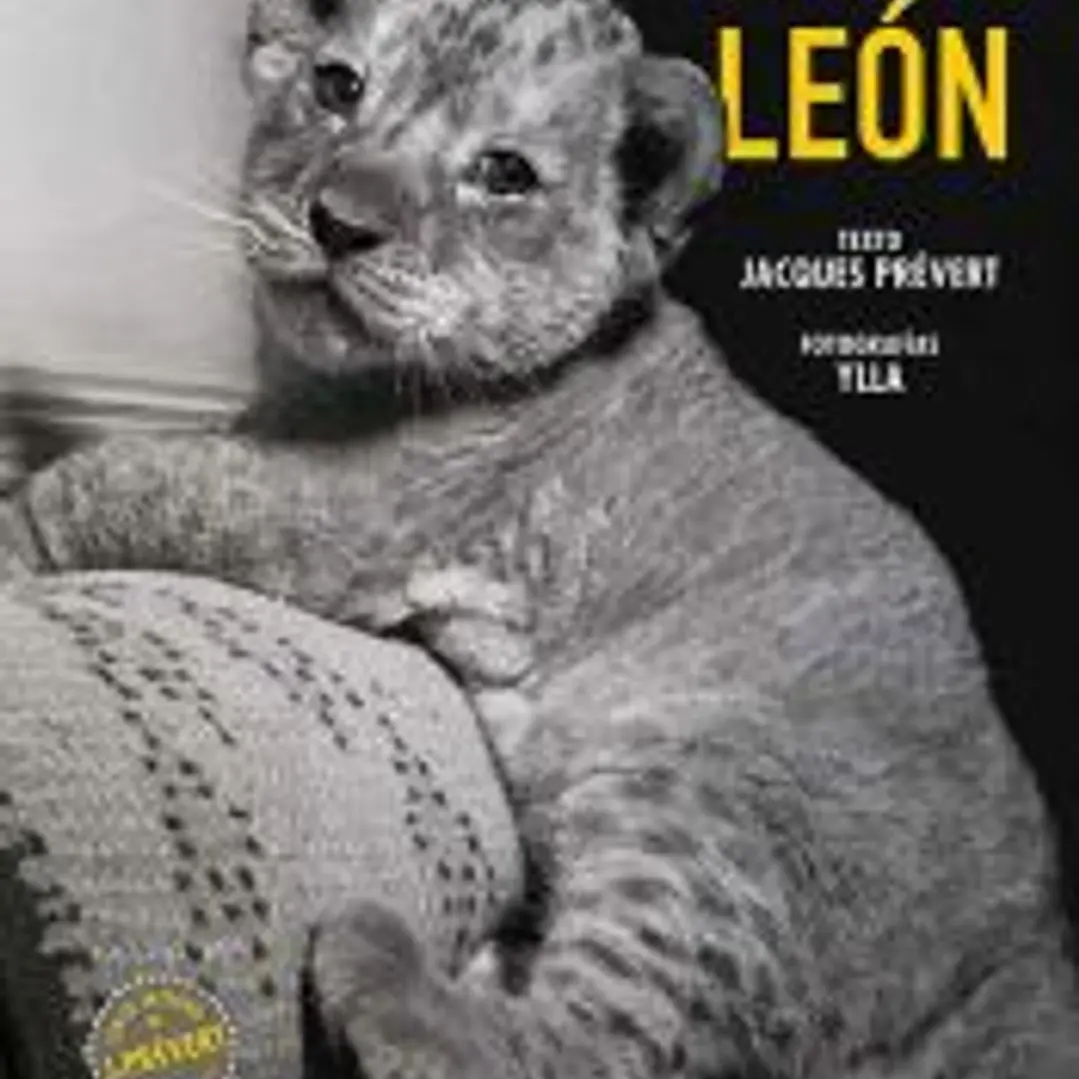 El pequeño león 1