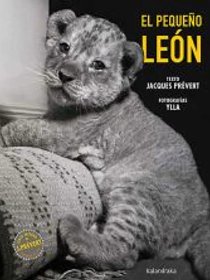 El pequeño león