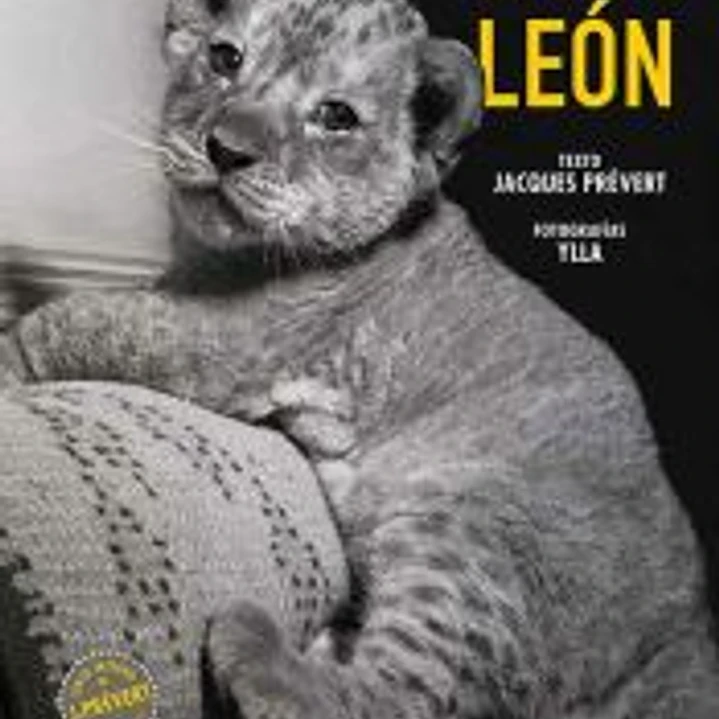 El pequeño león 1