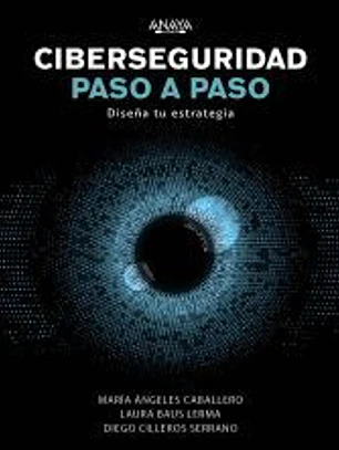 Ciberseguridad paso a paso