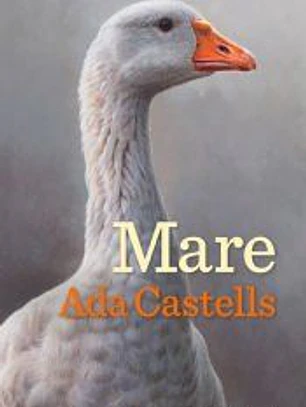 Mare