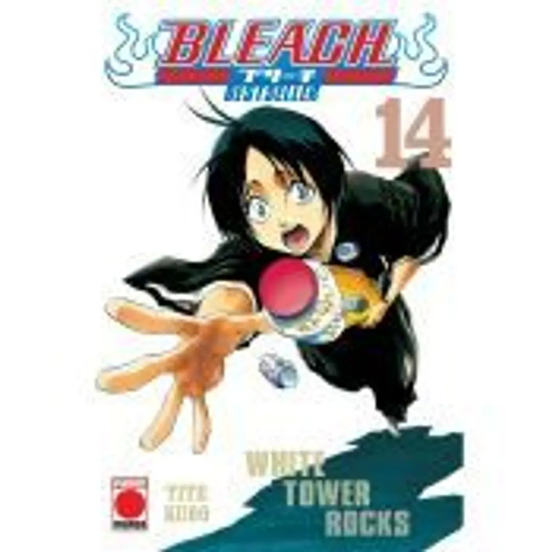 Bleach Bestseller 14 1