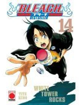 Bleach Bestseller 14