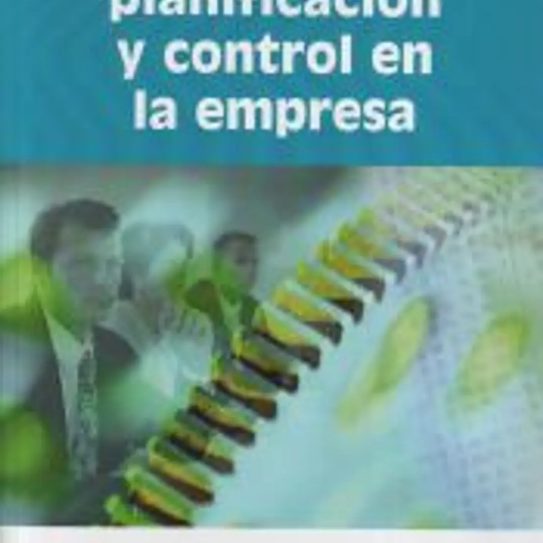 ESTRATEGIA, PLANIFICACIÓN Y CONTROL EN LA EMPRESA 1