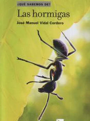 Las hormigas