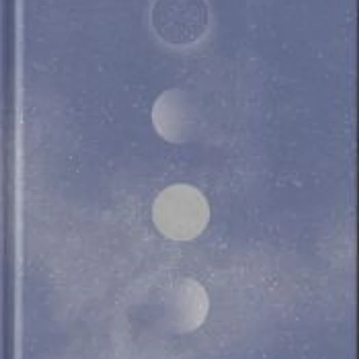 Tu diario lunar 1