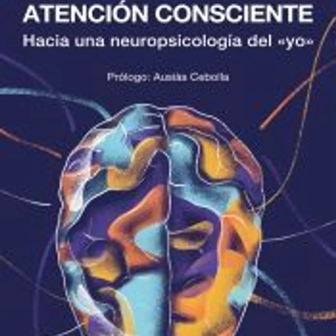 Los hemisferios y la atención consciente 1