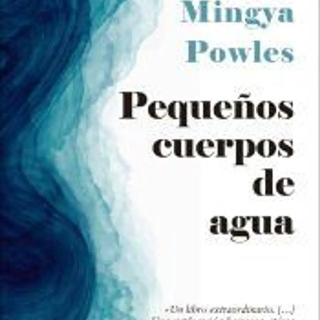 Pequeños cuerpos de agua 1