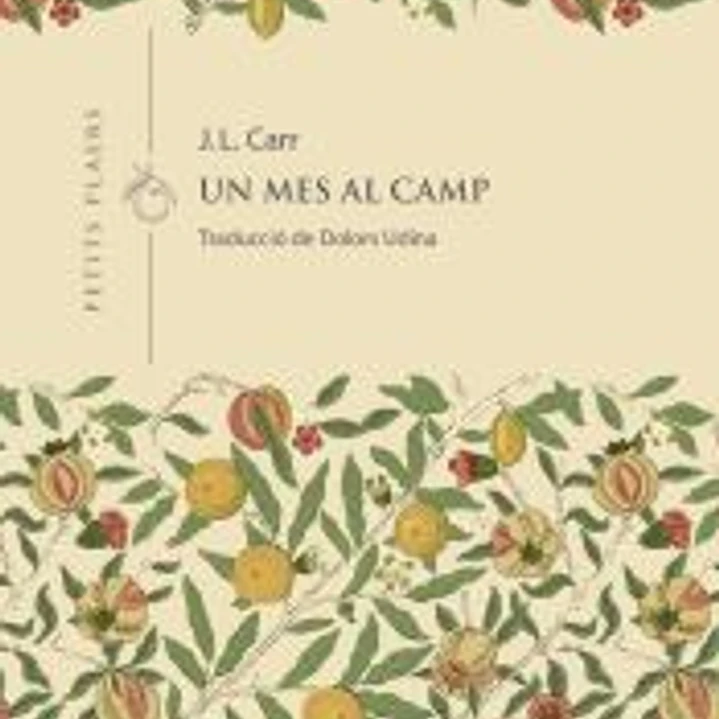 Un mes al camp 1
