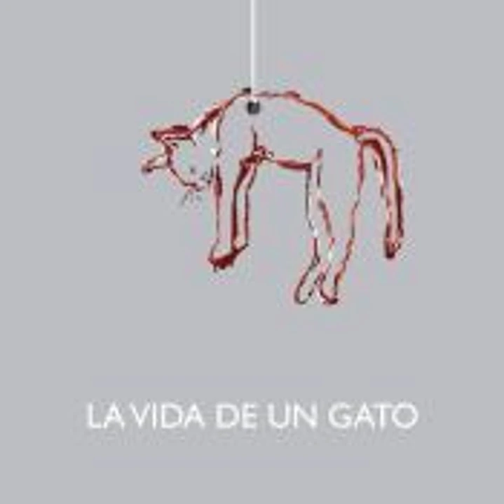 La vida de un gato 1