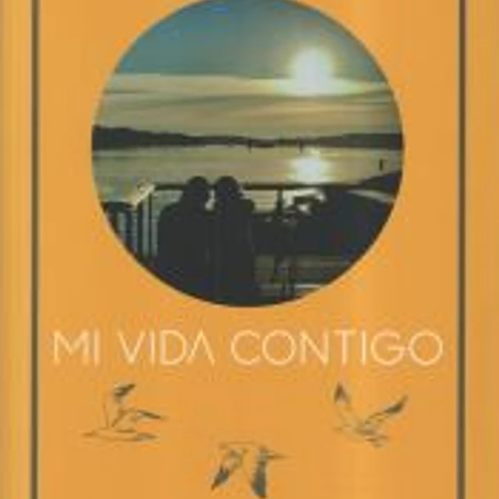 MI VIDA CONTIGO 1