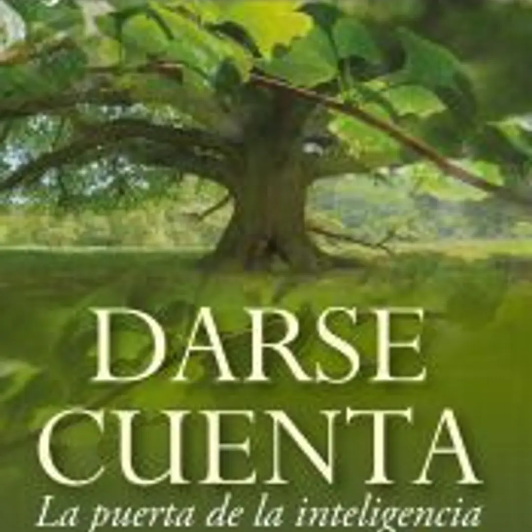 Darse cuenta 1