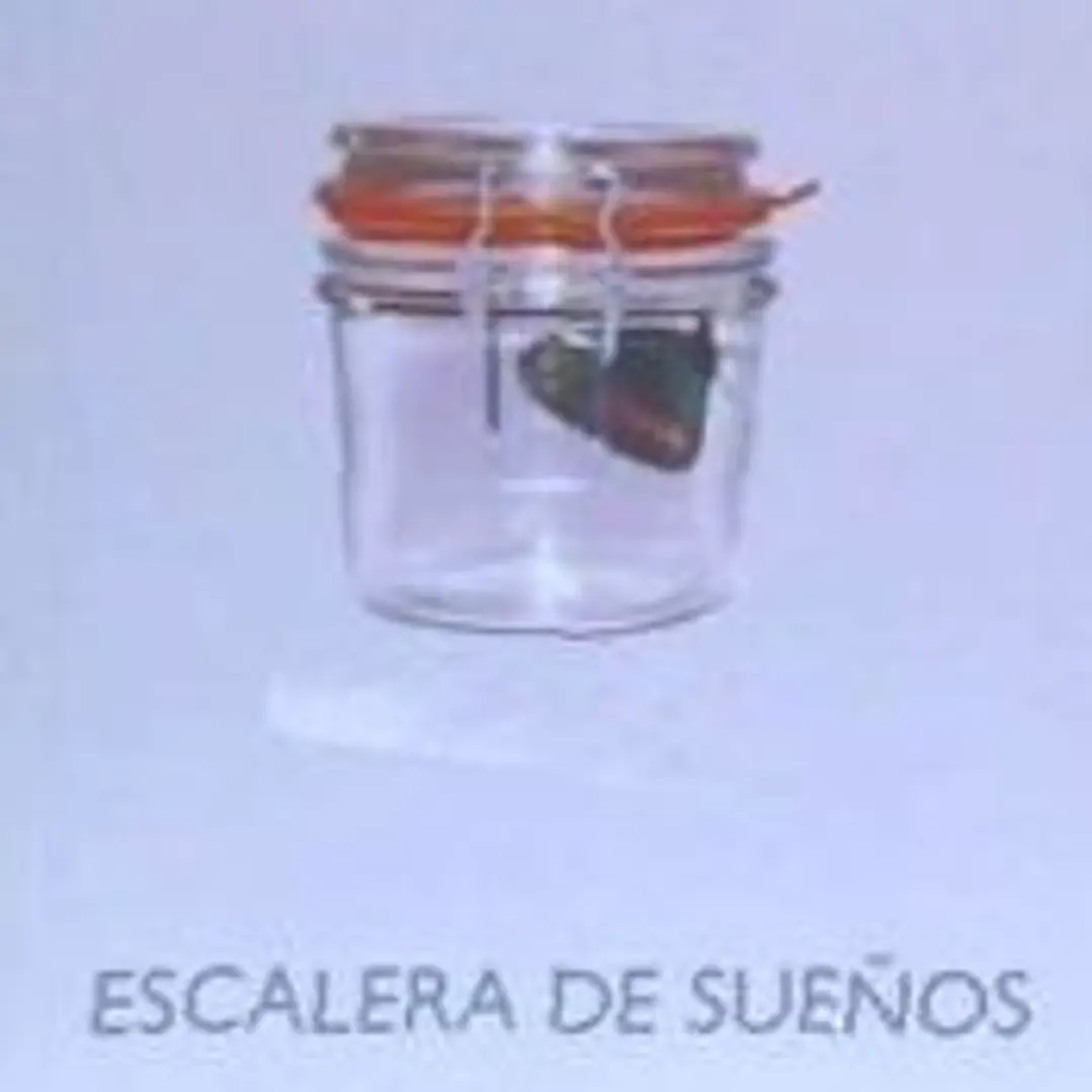 ESCALERA DE SUEÑOS 1