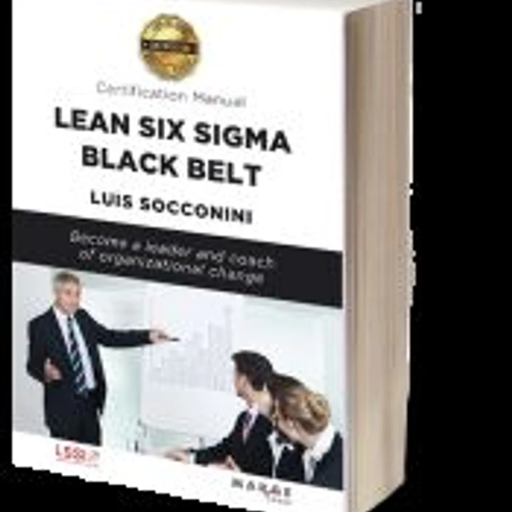 Lean Six Sigma Black Belt. Certification manual 1