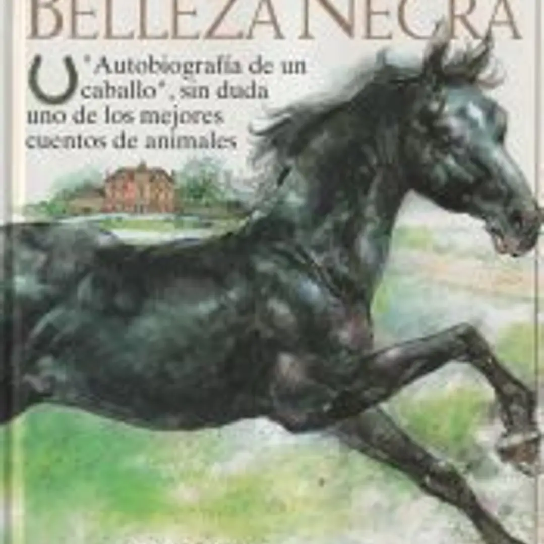 BELLEZA NEGRA 1