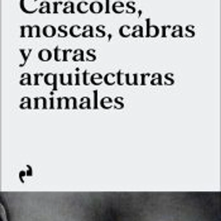 Caracoles, moscas, cabras y otras arquitecturas animales 1
