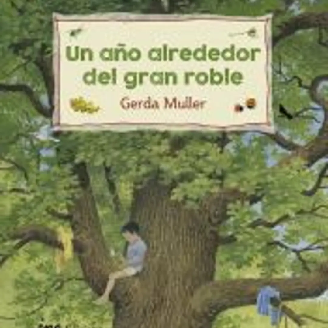 Un any al voltant del gran roure 1