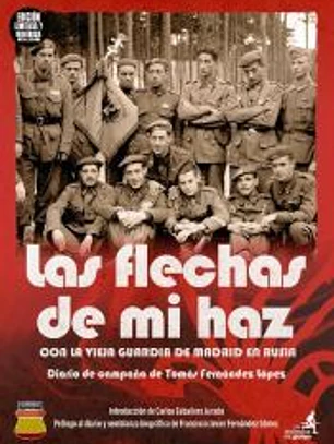 Las flechas de mi haz