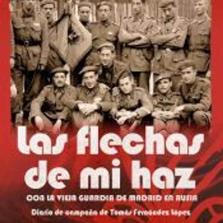 Las flechas de mi haz 1