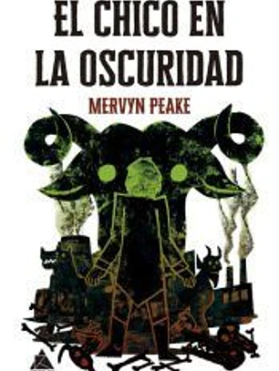 El chico en la oscuridad