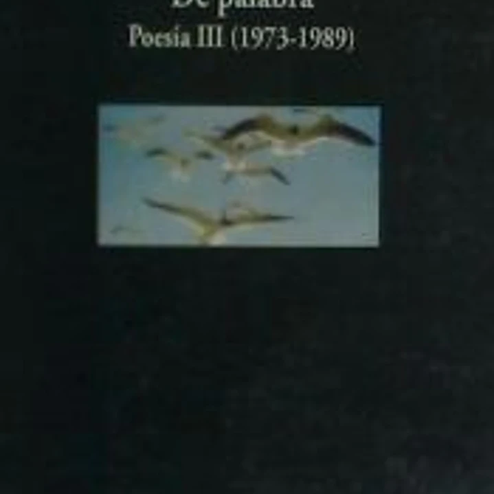 De Palabra. Poesía 1971 1