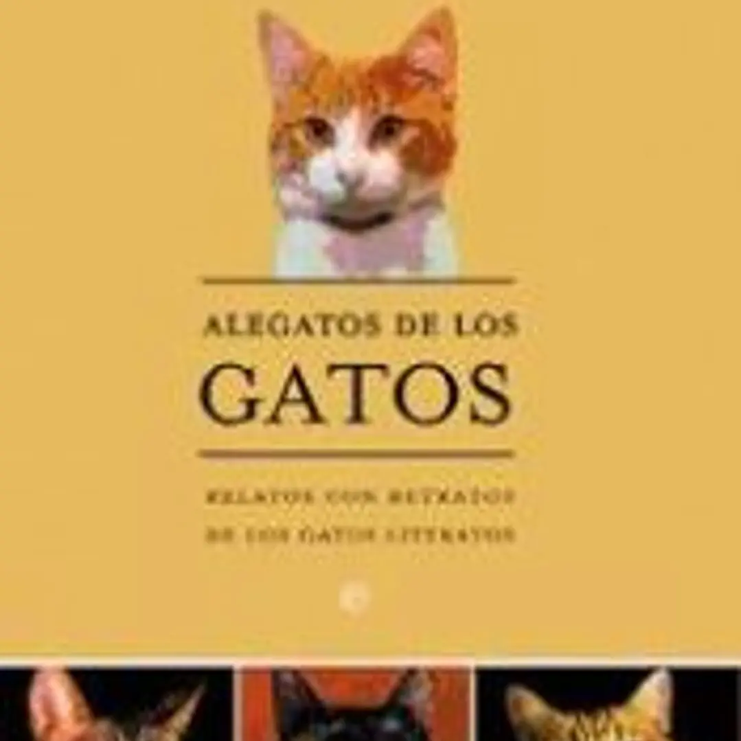 Alegatos de los Gatos 1
