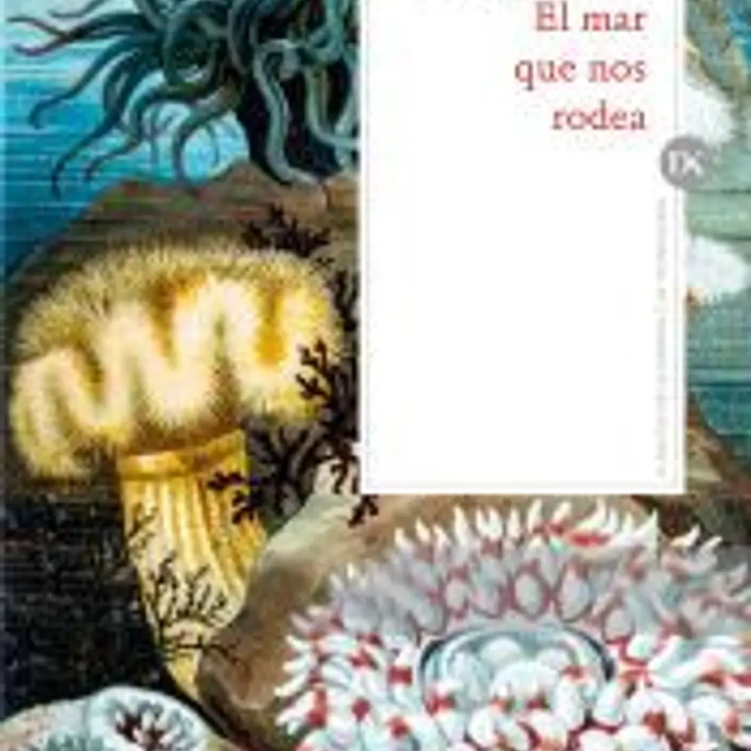 El mar que nos rodea 1