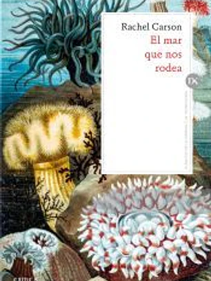 El mar que nos rodea