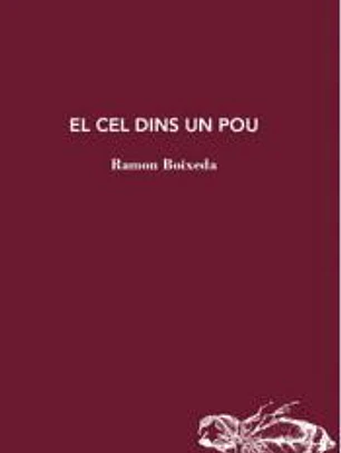 El Cel dins un pou