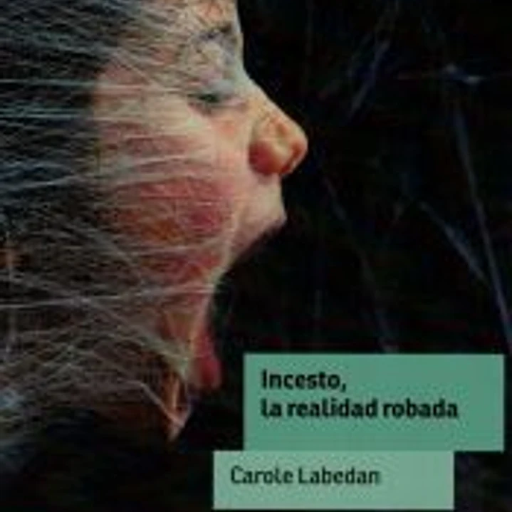 Del abuso al Incesto. La realidad robada 1