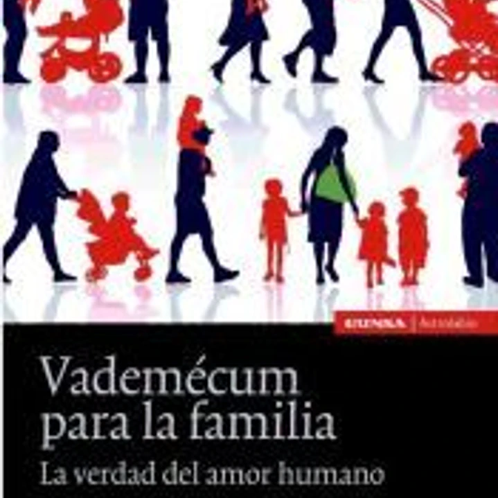 Vademécum para la familia: la verdad del amor humano 1