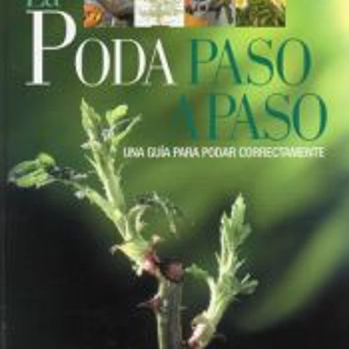 LA PODA PASO A PASO 1