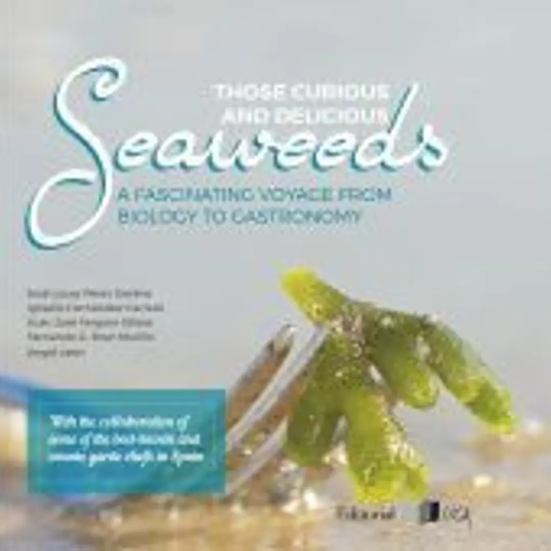 Those Curious and Delicious Seaweeds 1