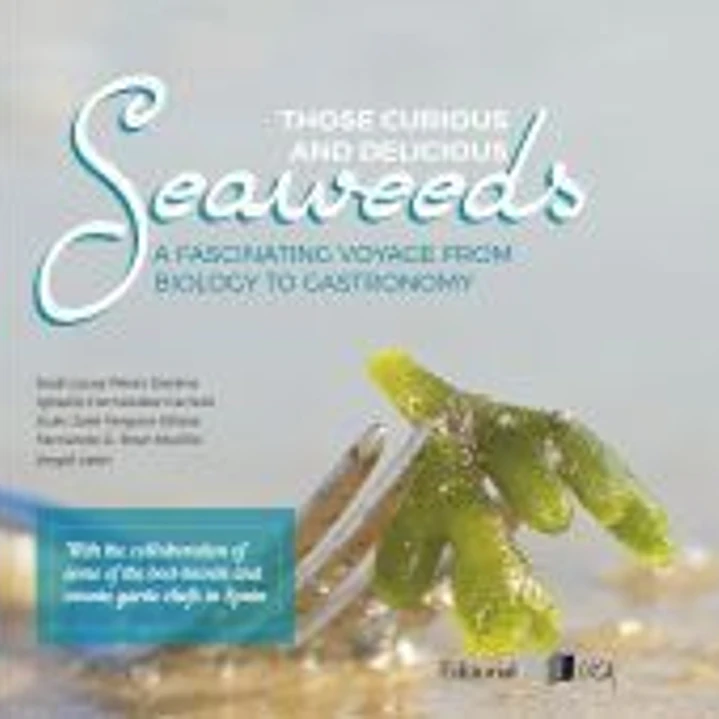 Those Curious and Delicious Seaweeds 1