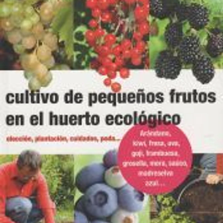 Cultivo de pequeños frutos en el huerto ecológico 1