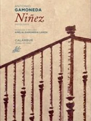 Niñez