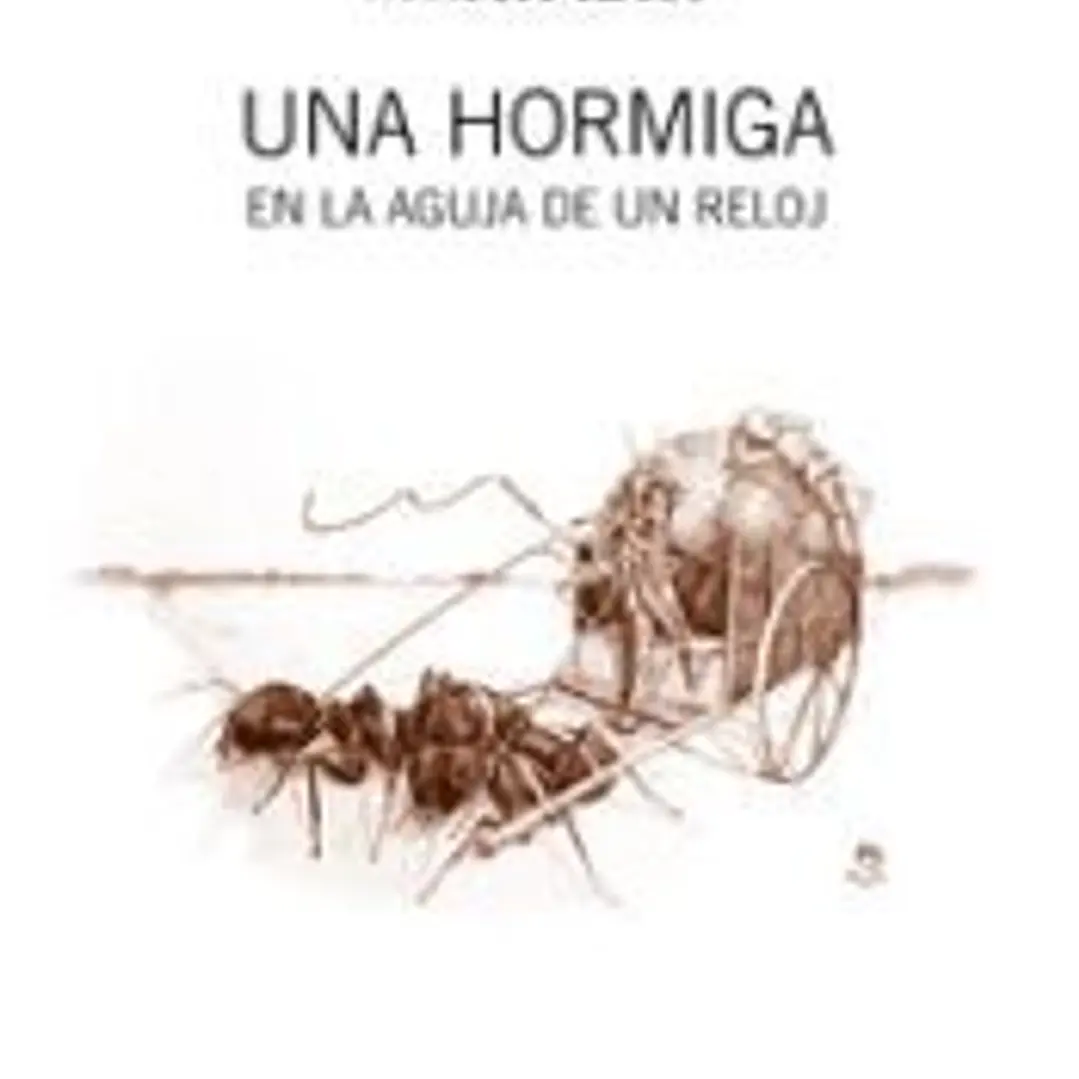 Una hormiga en la aguja de un reloj 1
