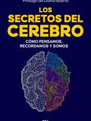 Los secretos del cerebro: Cómo pensamos, recordamos y somos