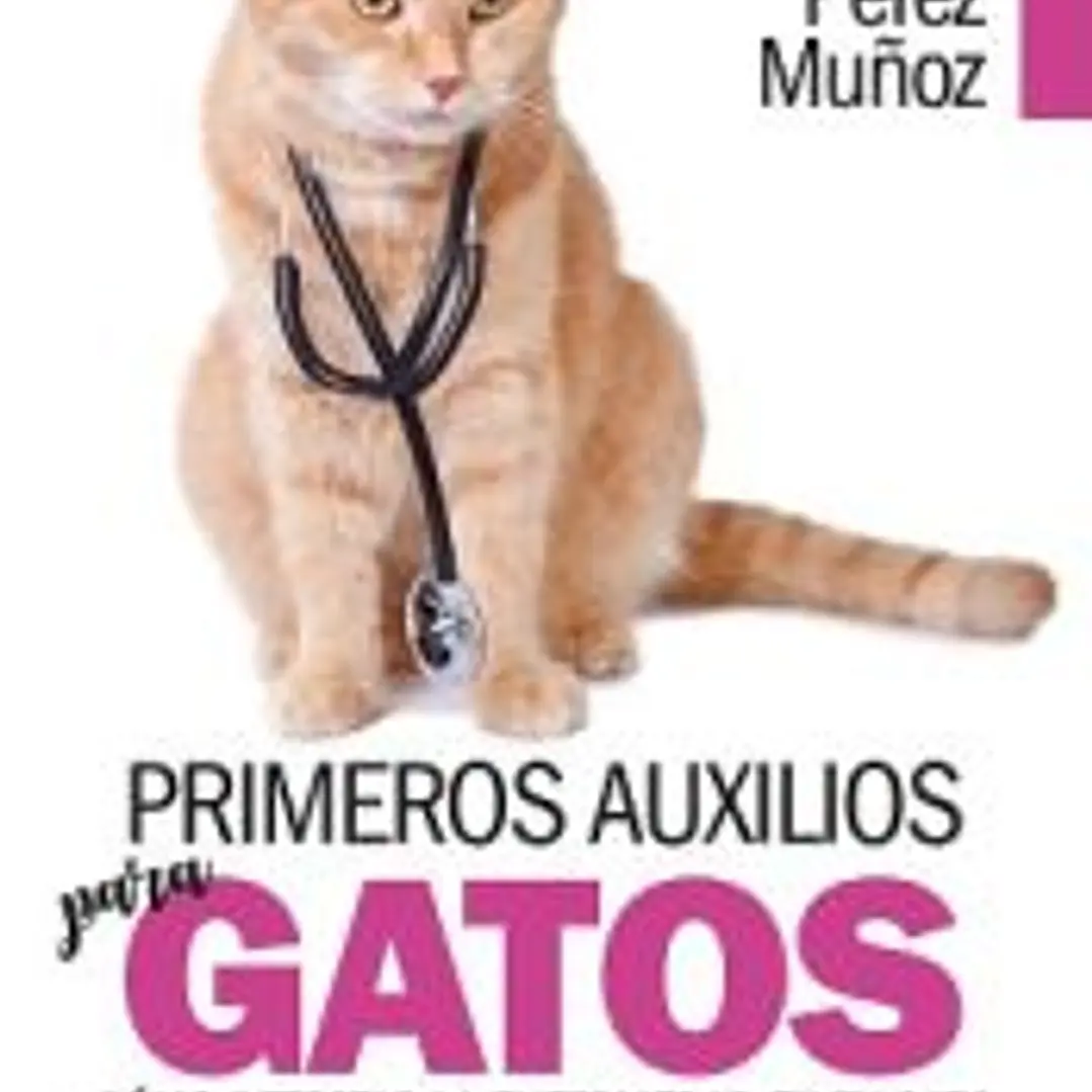 PRIMEROS AUXILIOS PARA GATOS 1