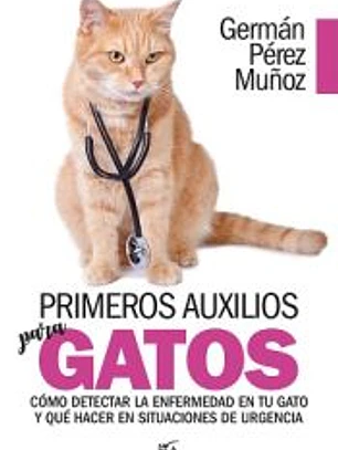 PRIMEROS AUXILIOS PARA GATOS