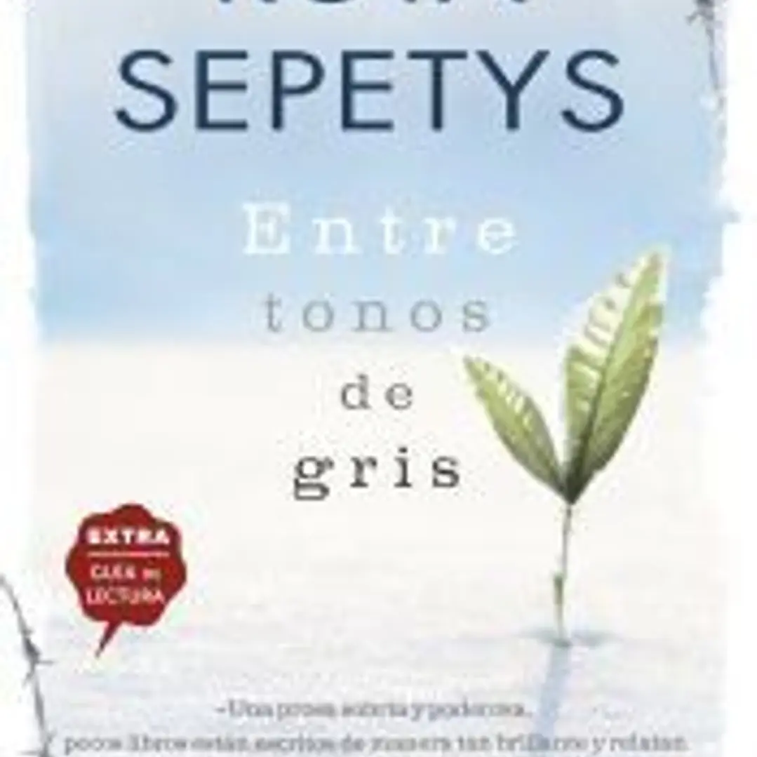 Entre tonos de gris 1