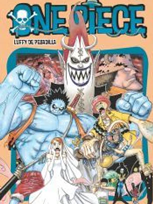 ONE PIECE Nº 49