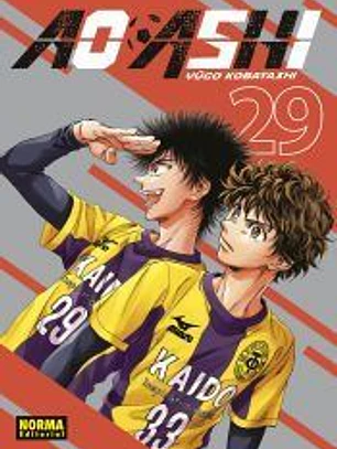 AO ASHI 29