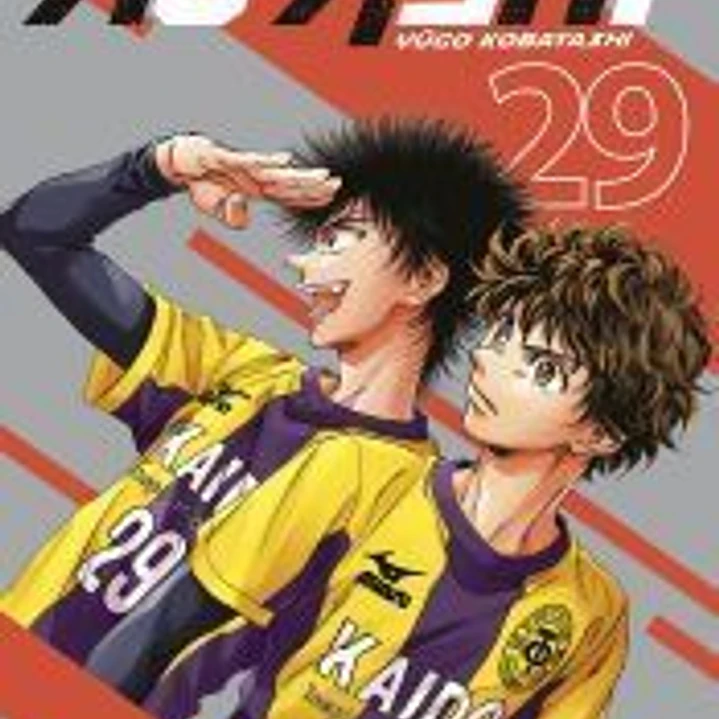 AO ASHI 29 1