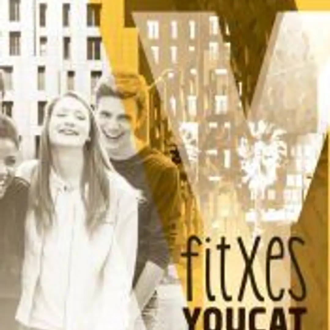 Fitxes YouCat 1