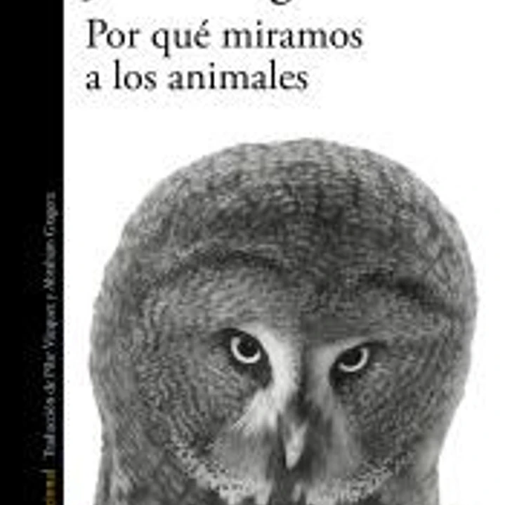 Por qué miramos a los animales 1