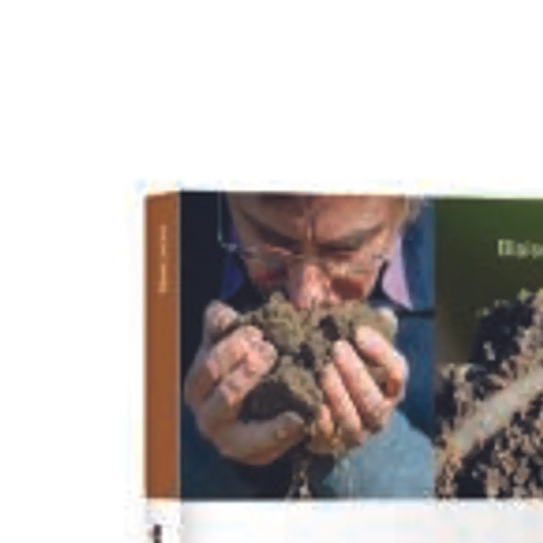 Cuidar la tierra del huerto en Permacultura 1